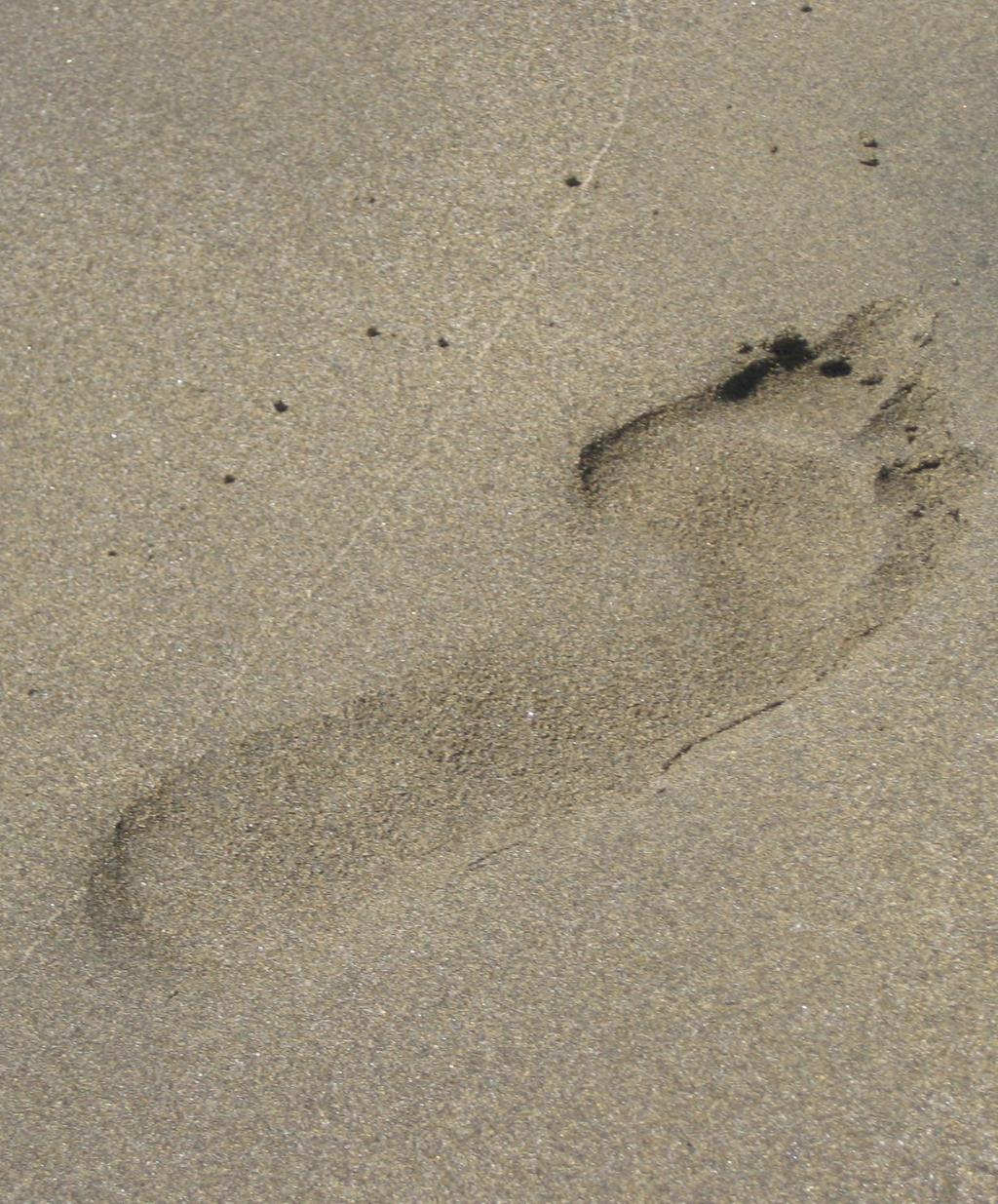 Footprint in the sand
