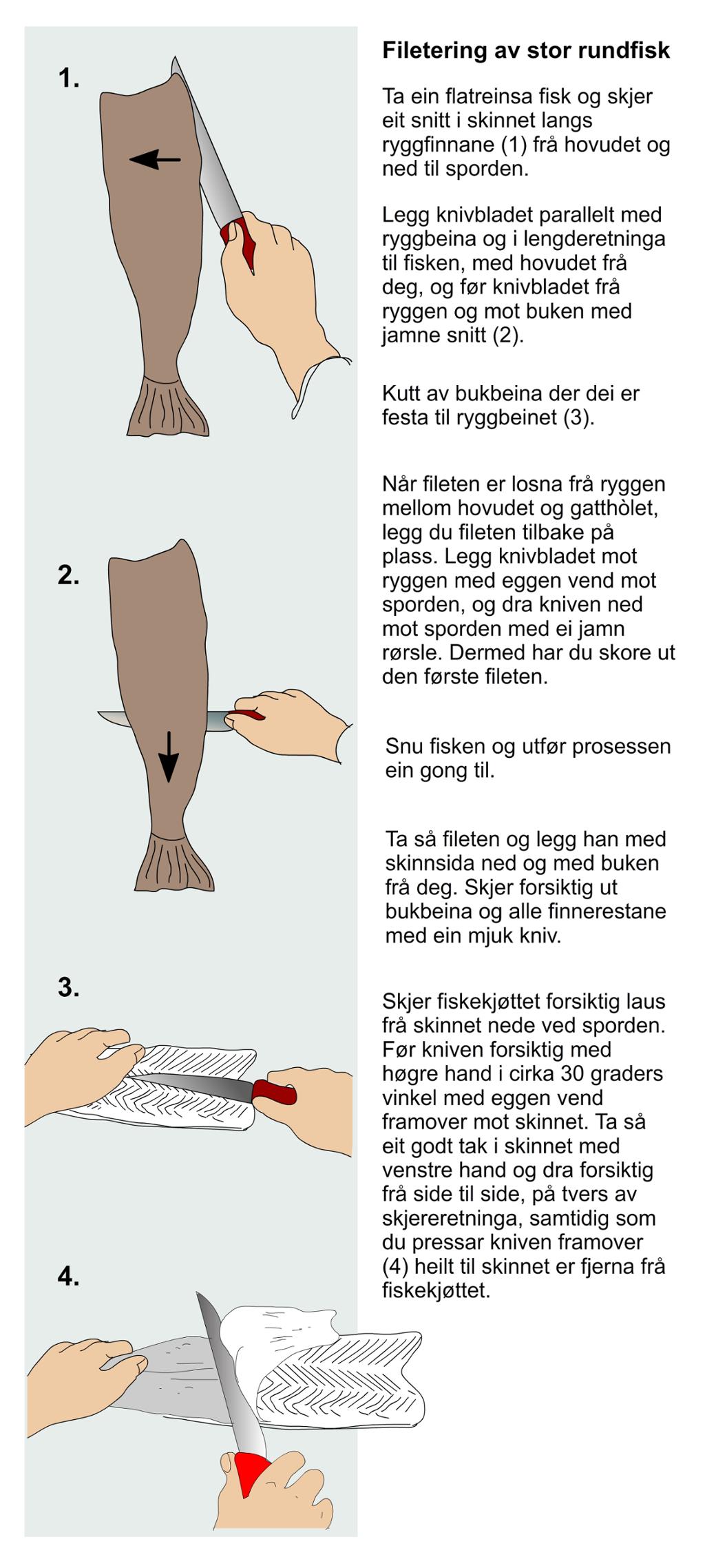 Filetering av stor rundfisk