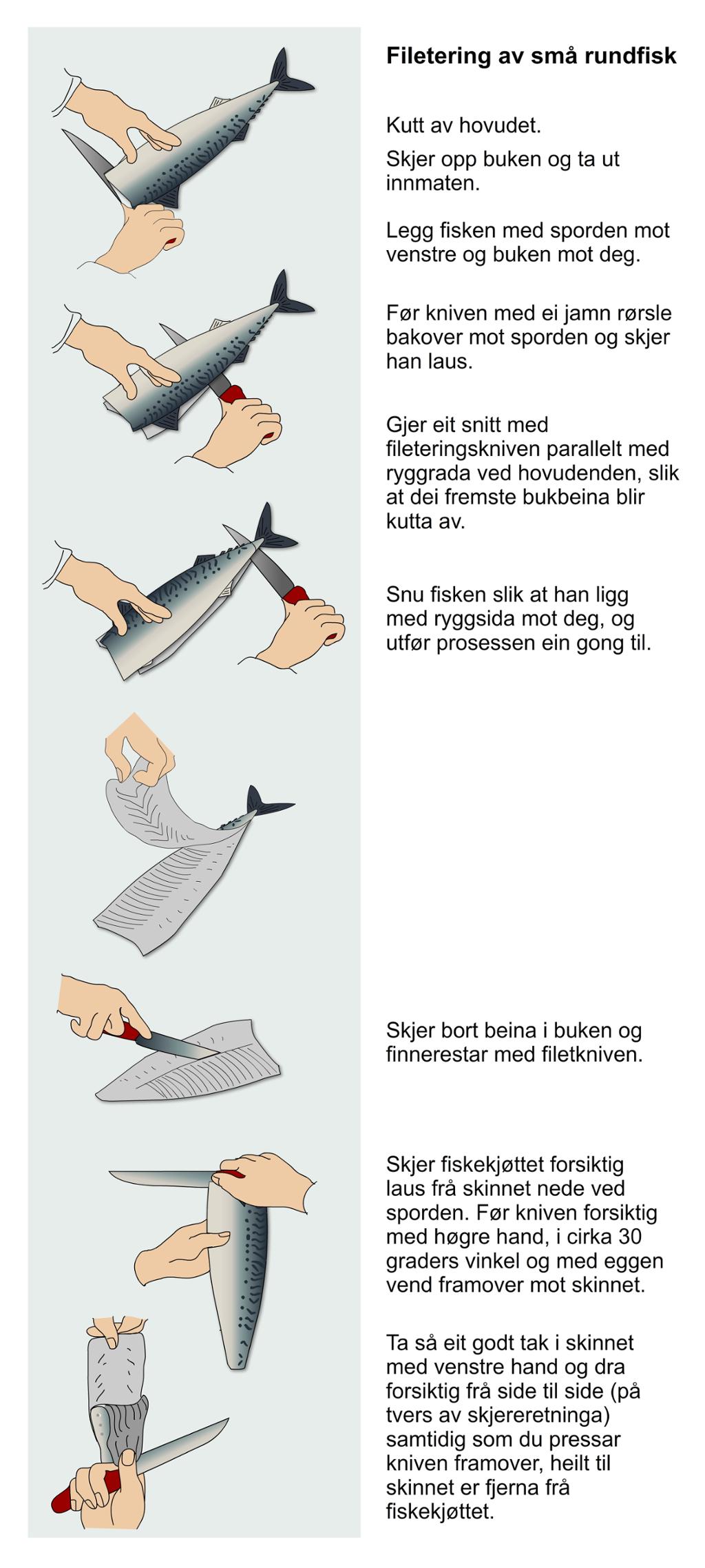 Filetering av små rundfisk