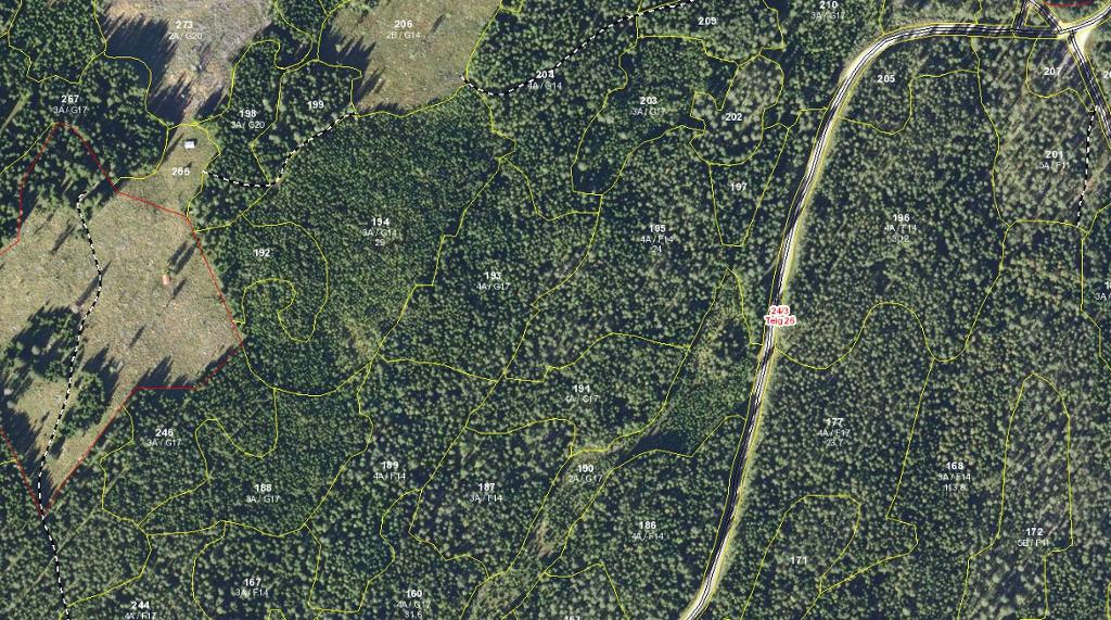 Luftfoto av en skog der de ulike skogbestandene er tegnet inn. Foto.