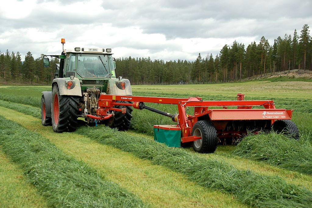 Traktor med slåmaskin kjører på et jorde og legger opp rader av grønt gras. Foto.