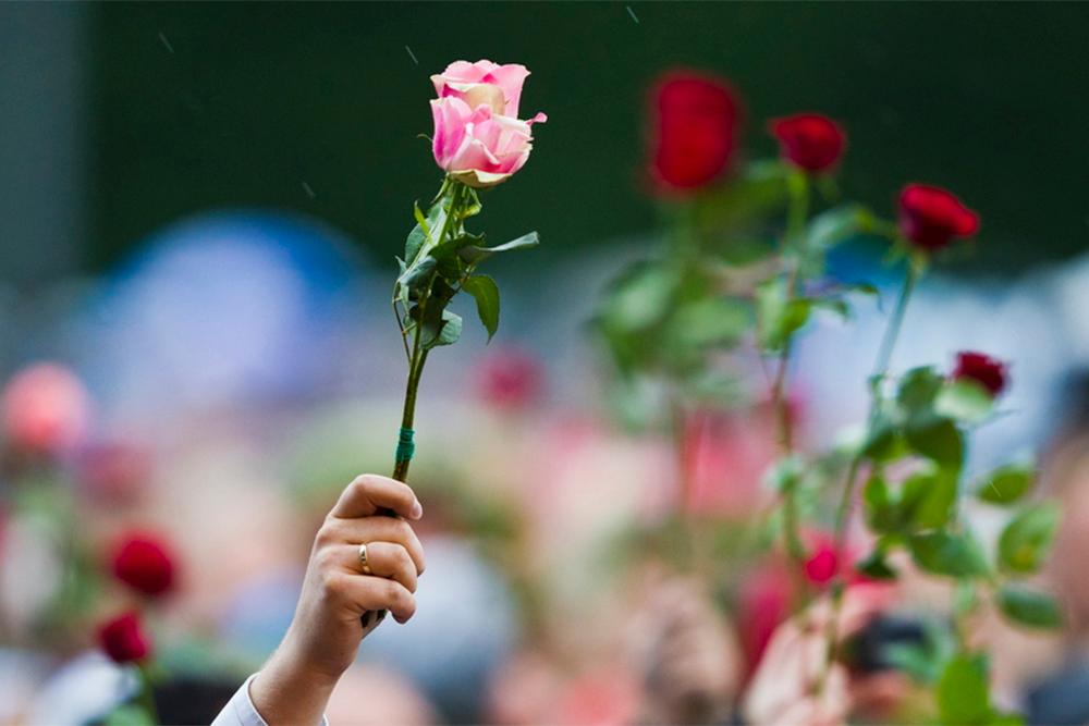 Hender holder opp roser. Foto.