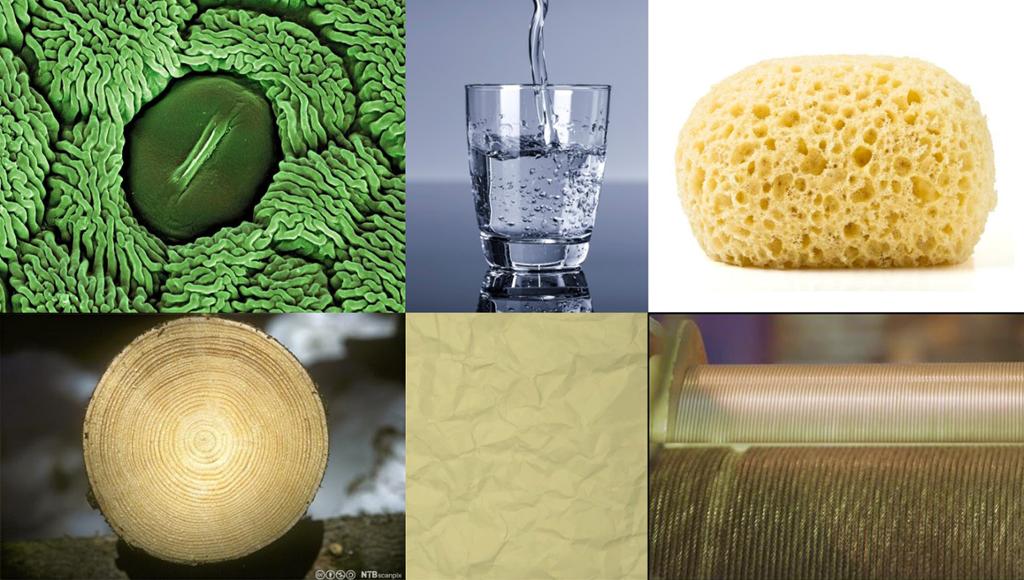 Seks bilder av ulike materialer: et mikroskopbilde av en større, oval form med buktende, sammenfiltrede strenger rundt, vann, svamp, tre, papir og metall. Foto.
