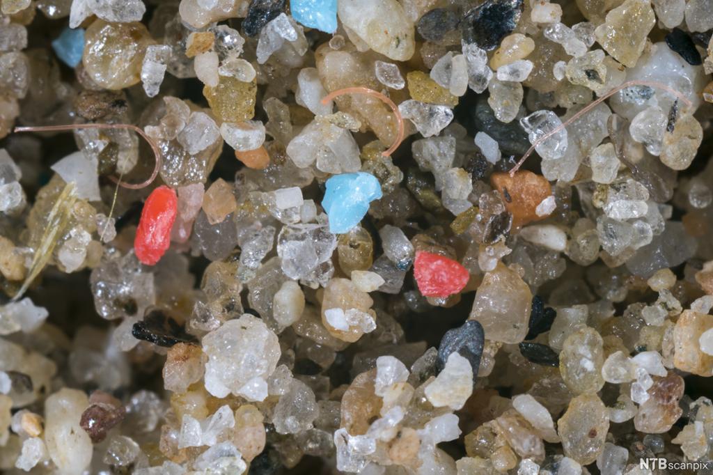 Nærbilde av sandkorn i mange farger med synlige partikler av mikroplast og mikrofibertråder. Foto.