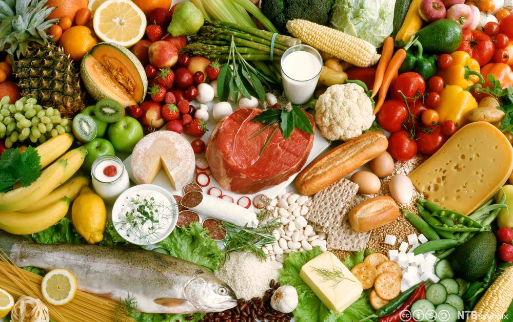 Et utvalg forskjellige typer frukt, grønnsaker, fisk, kjøtt, kornprodukter, melk og meieriprodukter. Foto.