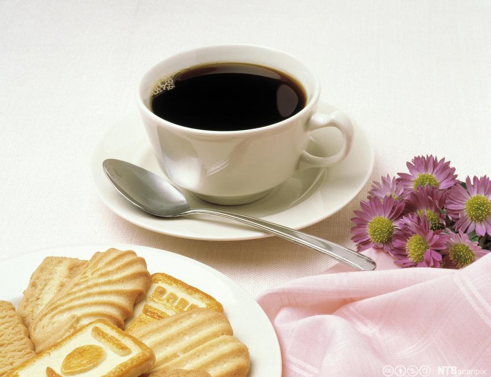 Ein kopp kaffi med kjeks ved sidan av. Foto