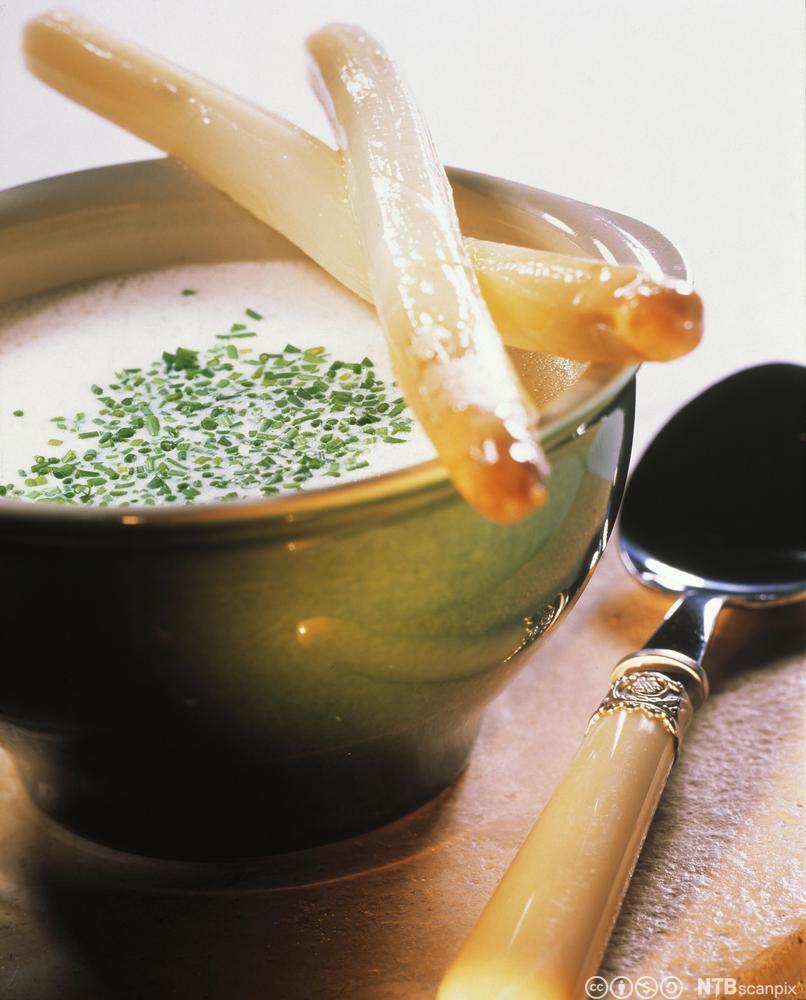 Krema aspargessuppe. Foto.
