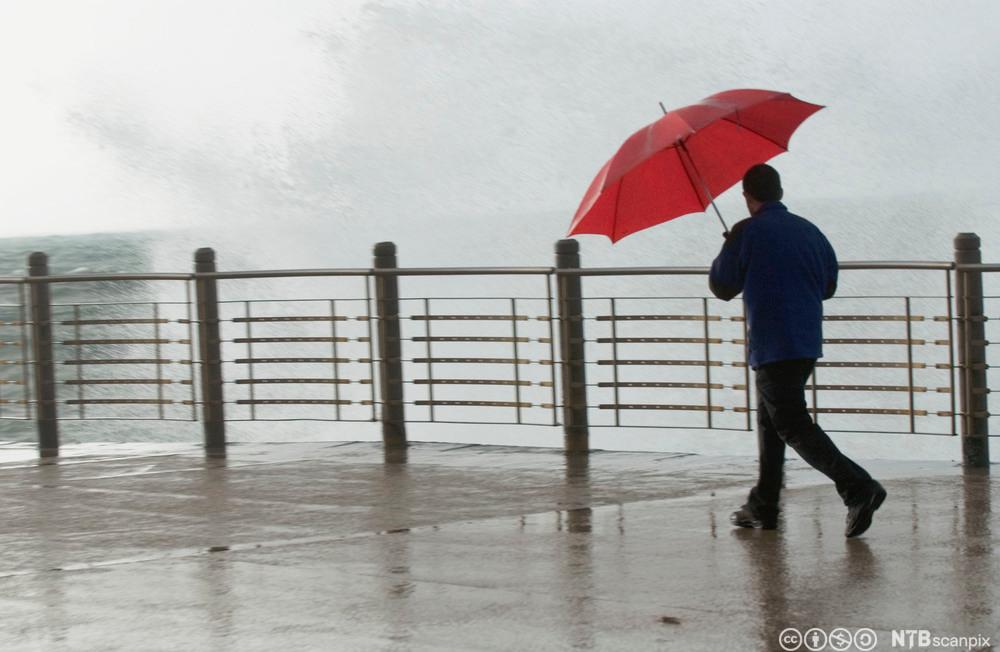 Mann med rød paraply går langs en kaipromenade i uvær. Foto.