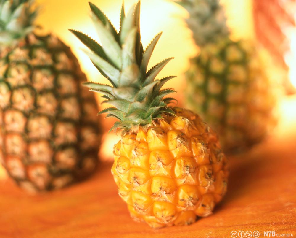 Babyananas og store ananas på et bord. Foto. 