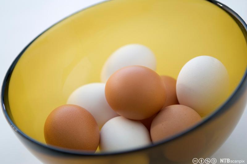 Hvite og brune egg. Foto.