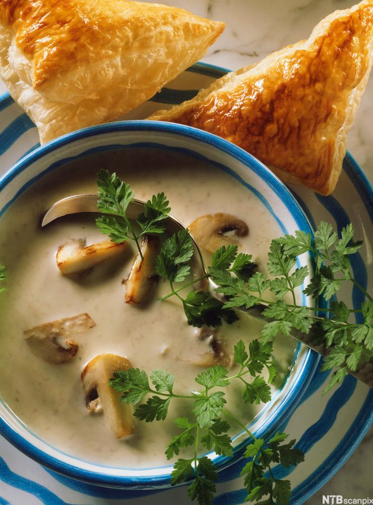 Bolle med sjampinjongsuppe. Foto.