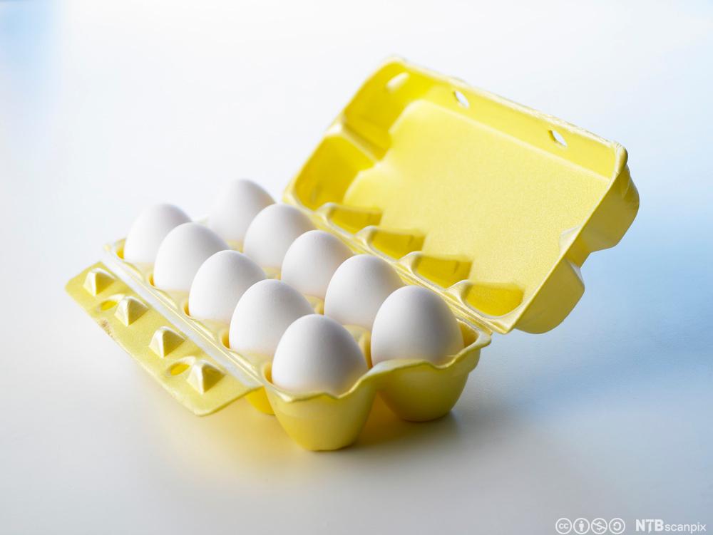 Ein opna eggekartong med egg. Foto.