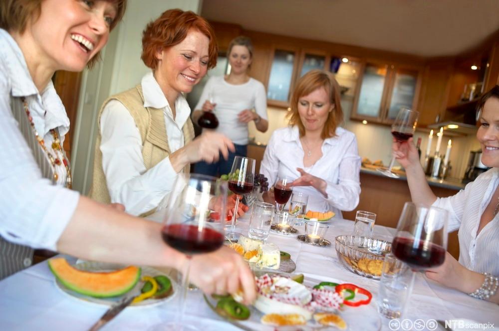 Middagsselskap med venner