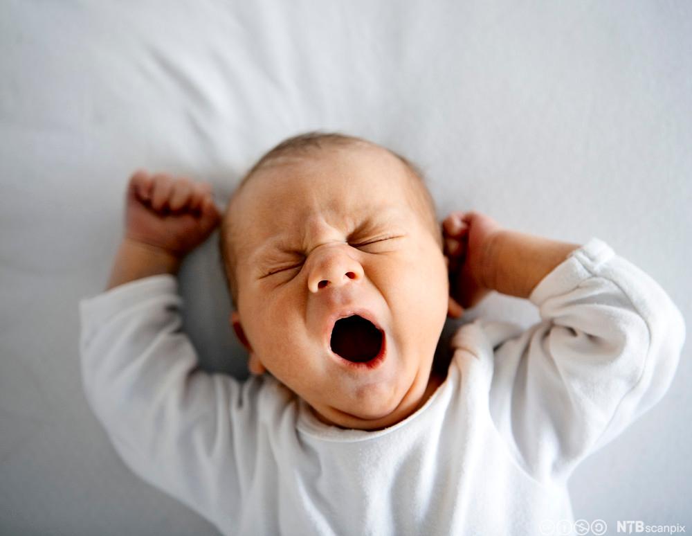 Gjespende baby. Foto.
