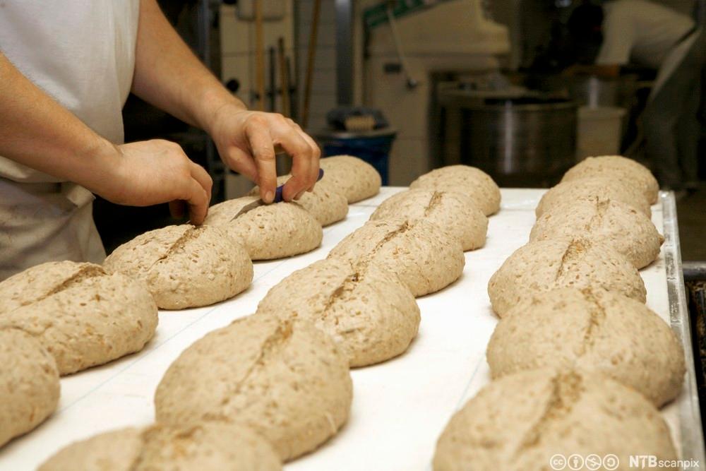 Baker snitter brød. Foto.