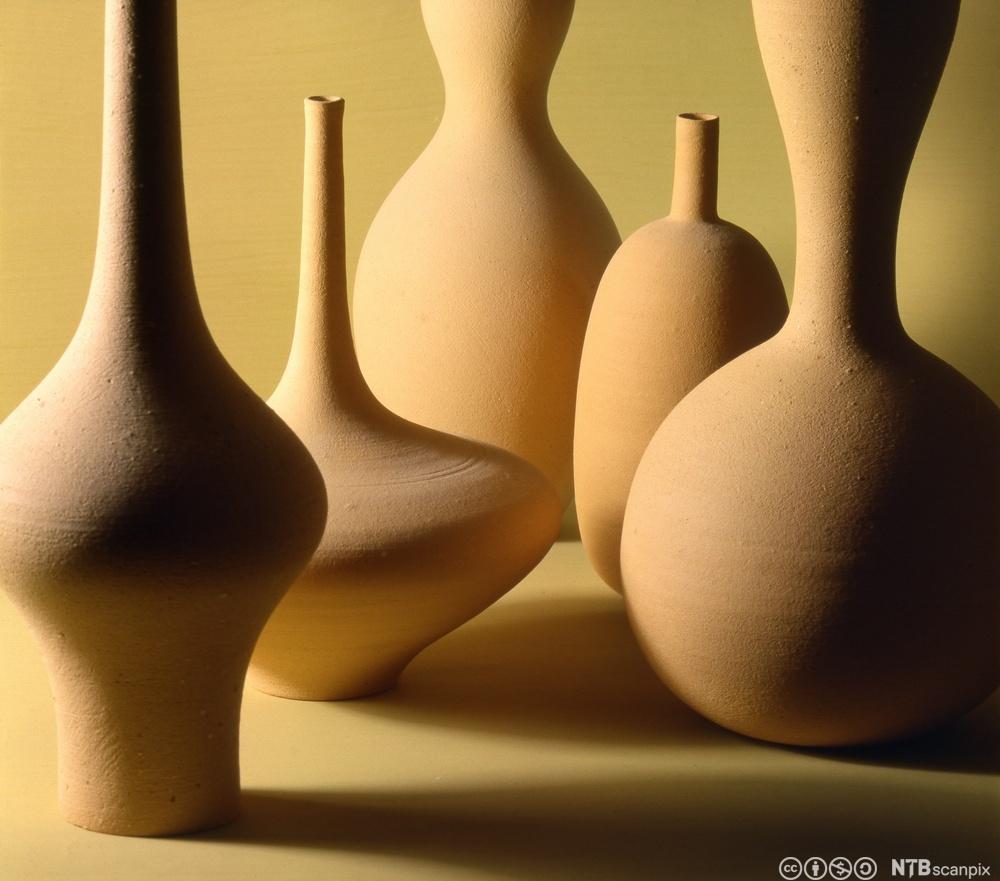 Ulike keramikkvaser med organiske former. Foto. 