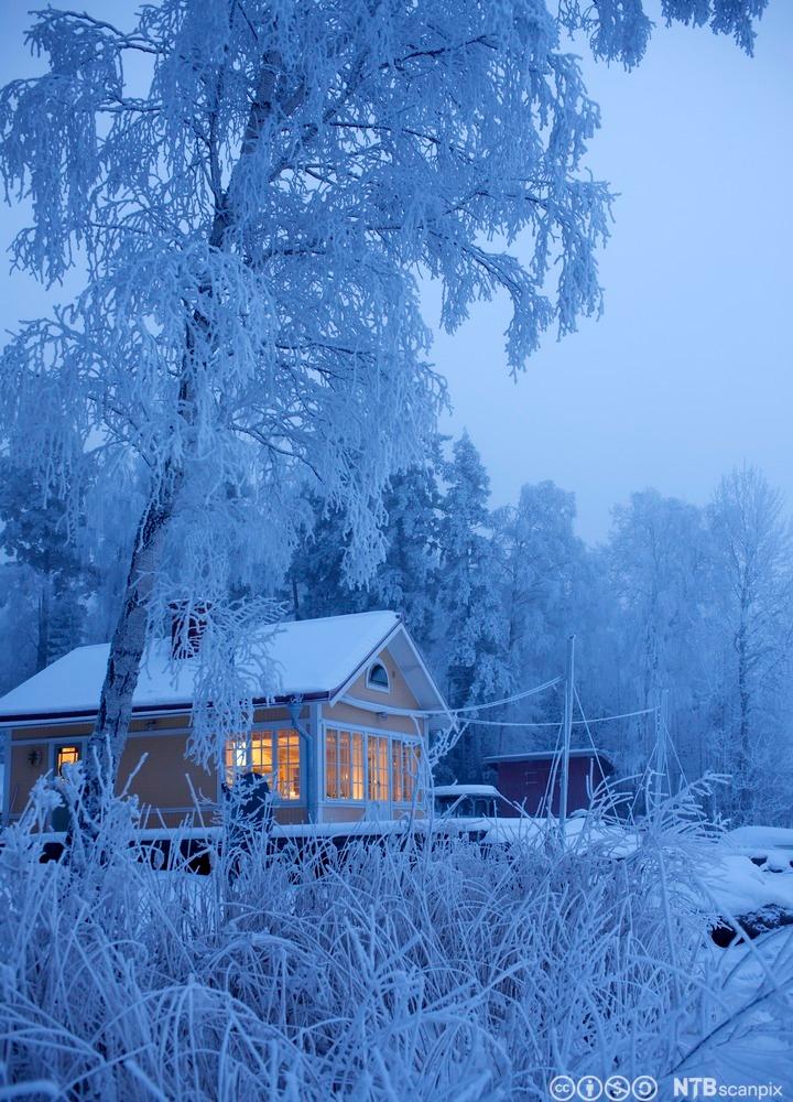 Hus i vinterlandskap. Foto.