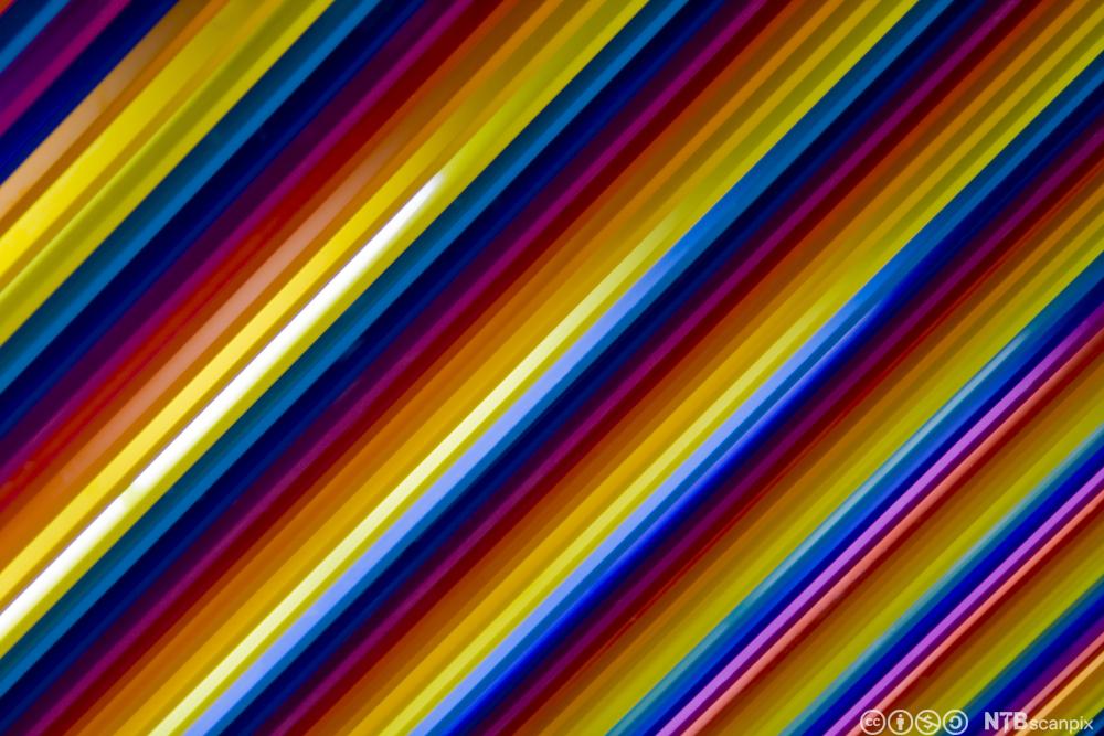 Striped rainbow pattern. Photo.