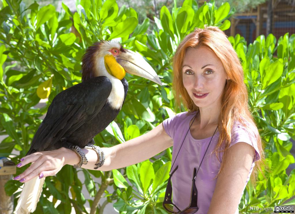 Ung kvinne med rødt hår holder en Toucan på hånden. Foto.