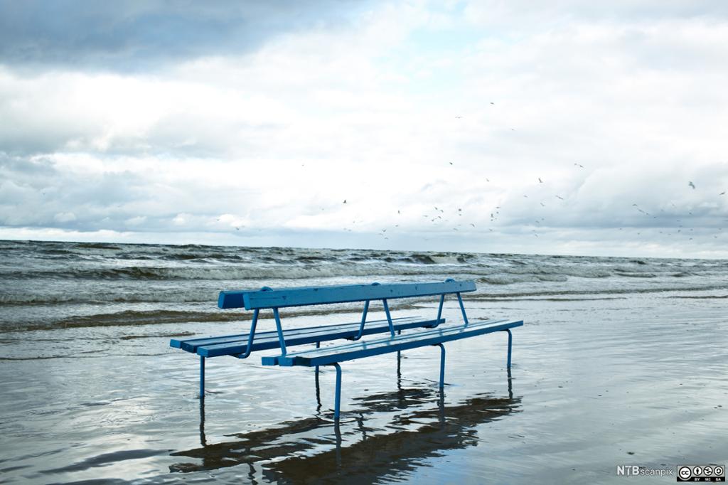 Bench on the beach