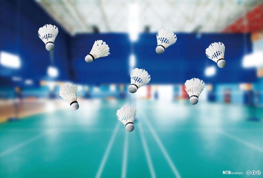 Badmintonballar på badmintonbane. Foto.