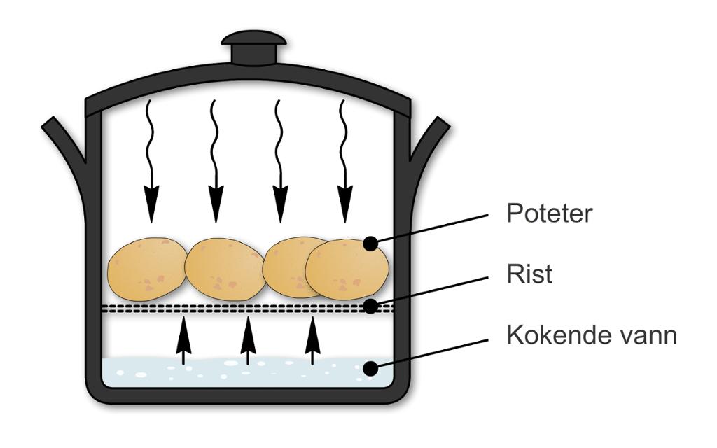 Dampkoking. Illustrasjon.