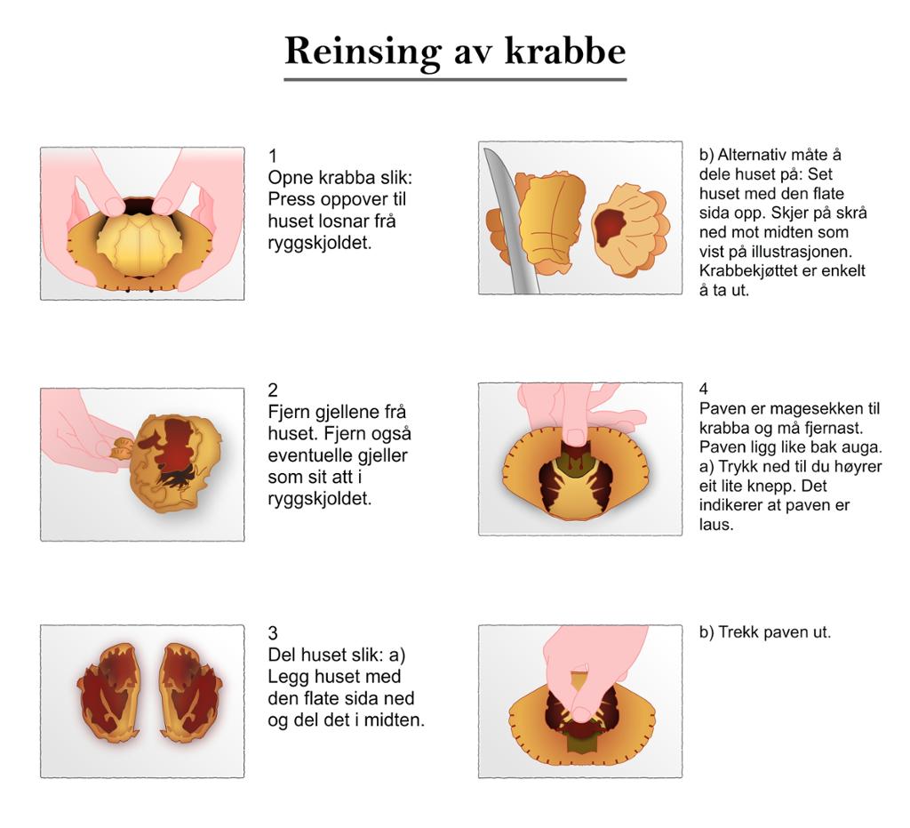 Rensing av krabbe