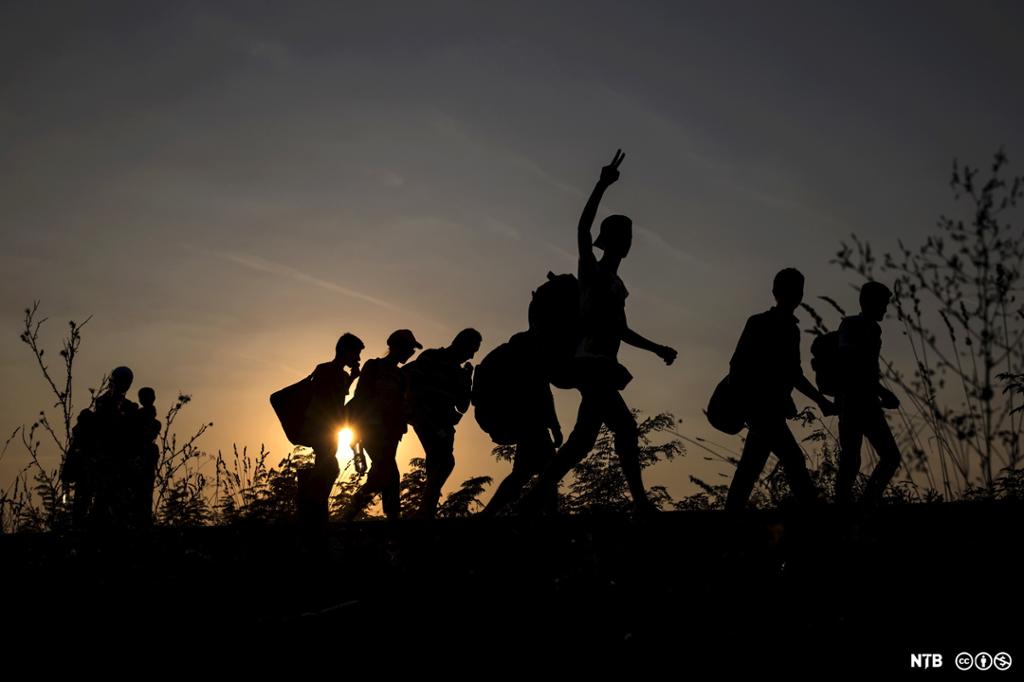 The picture shows the silhouettes 8 migrants crossing into Hungary. Photo.