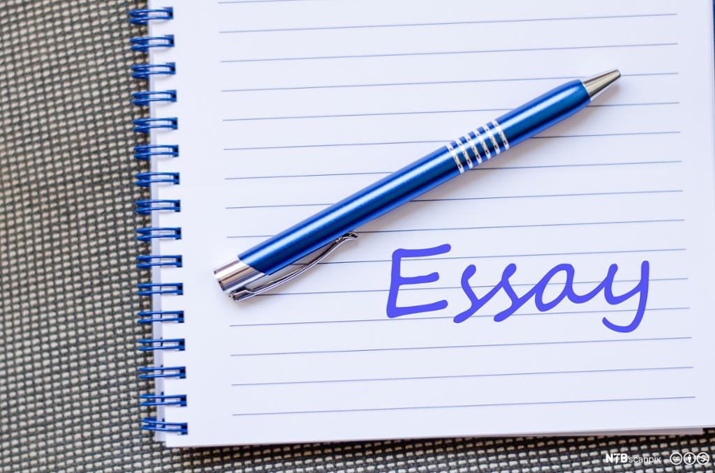 A notebook with the words 'Essay' written on it. A blue pen is lying on the top of the notebook. Photo.