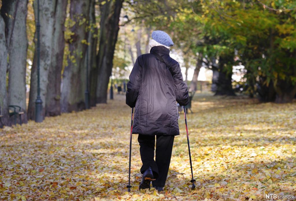 Eldre dame går tur med staver i en park. Foto.