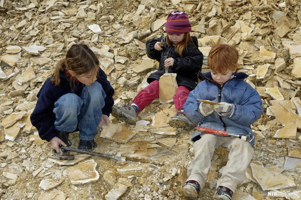 Tre barn som sit i ein steinhaug. Dei kikar på stein. Dei har både hammar og meisel for å slå på steinen. Foto.