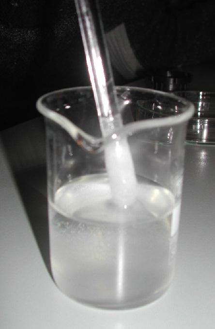 Begerglass med gjennomskinnelig væske og en glass-stav med en geléaktig slintre av DNA rundt enden. Foto.