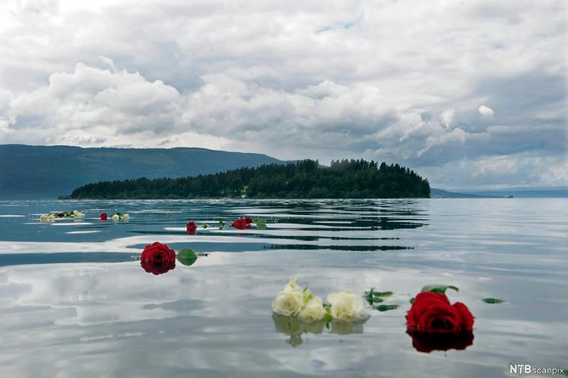 Terror rammer Norge. Flytende roser i sjøen. Tyrifjorden ved Utøya. Foto