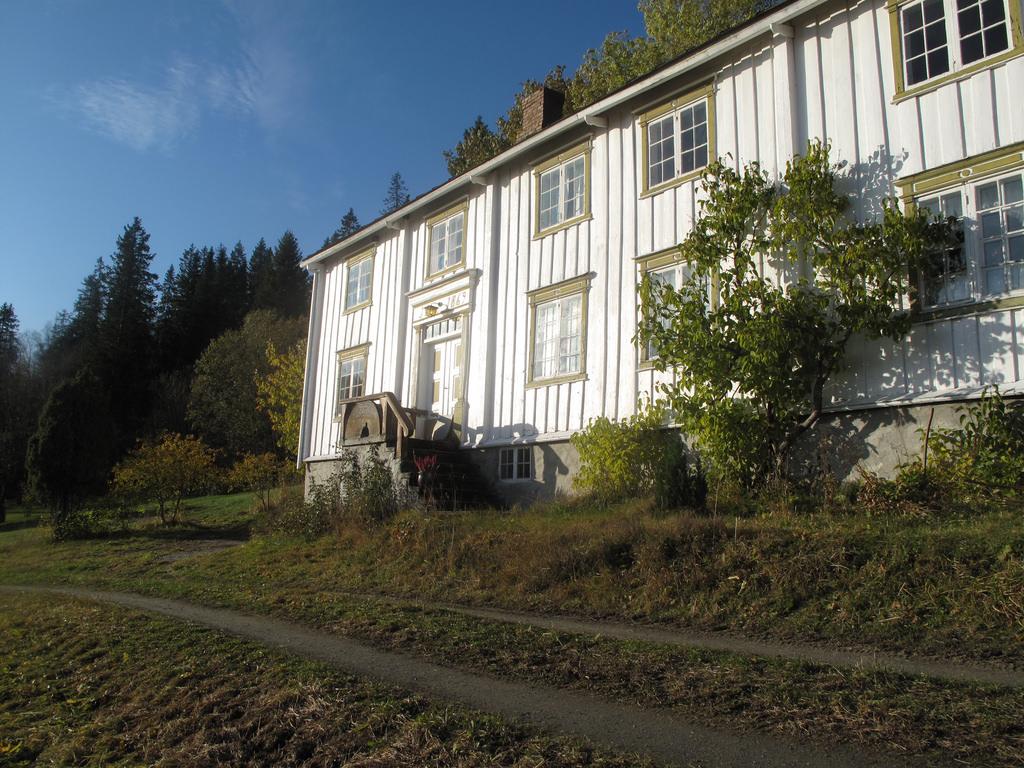 Kvit trønderlån. Foto.