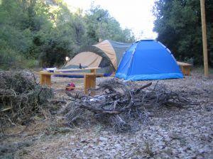 Leirplass med telt i skogen. Foto.