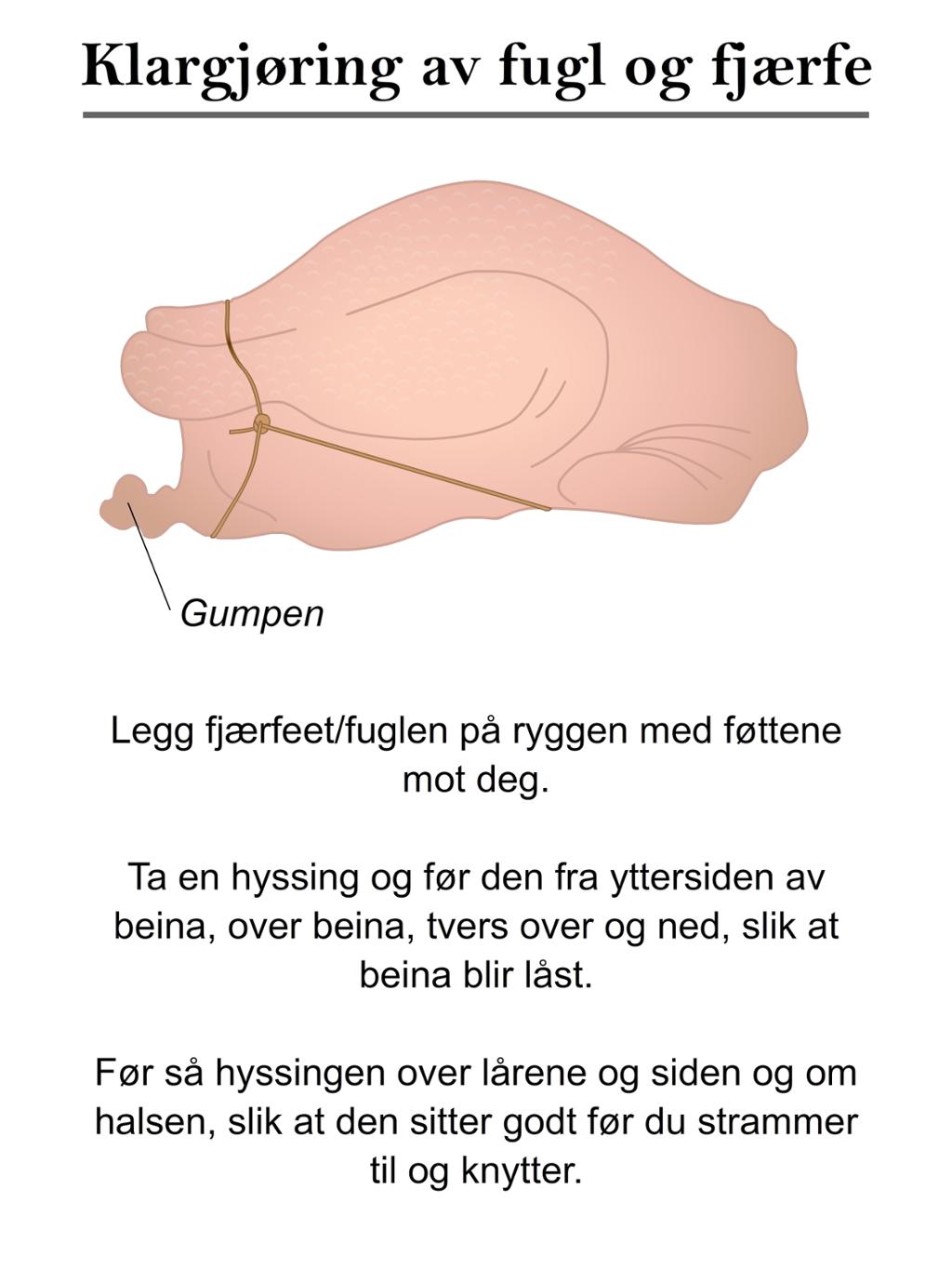 Klargjøring av fugl og fjærfe