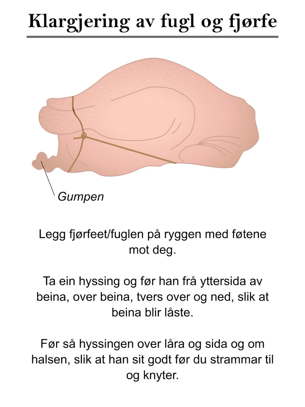 Klargjøring av fugl og fjærfe