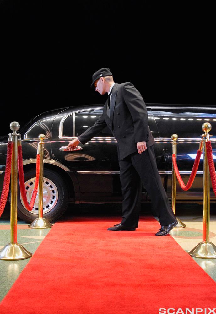 En uniformert sjåfør skal til å åpne døren på en limousin slik at passasjeren kan tre ut på den røde løperen. Foto.