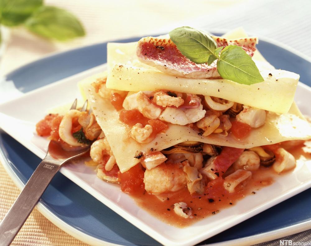 Ein kvit tallerken med lasagneplater som ligg lagvis med ein tomatisert saus med ulike typar fisk og skaldyr. Foto.
