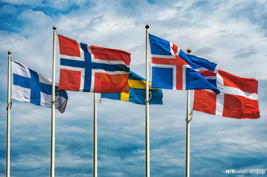 Finsk, norsk, svensk, islandsk og dansk flagg blafrer i vinden. Foto.