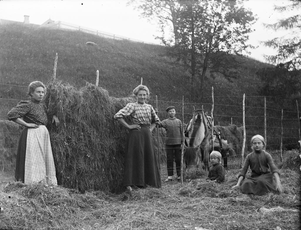 hesjing tidlig 1900-tall. Foto.
