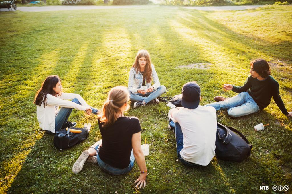 Fem ungdommer sitter i en ring på gresset. De har bager med seg og drikke i plastglass. De har en rolig samtale. Sola stråler ned på dem. Foto.