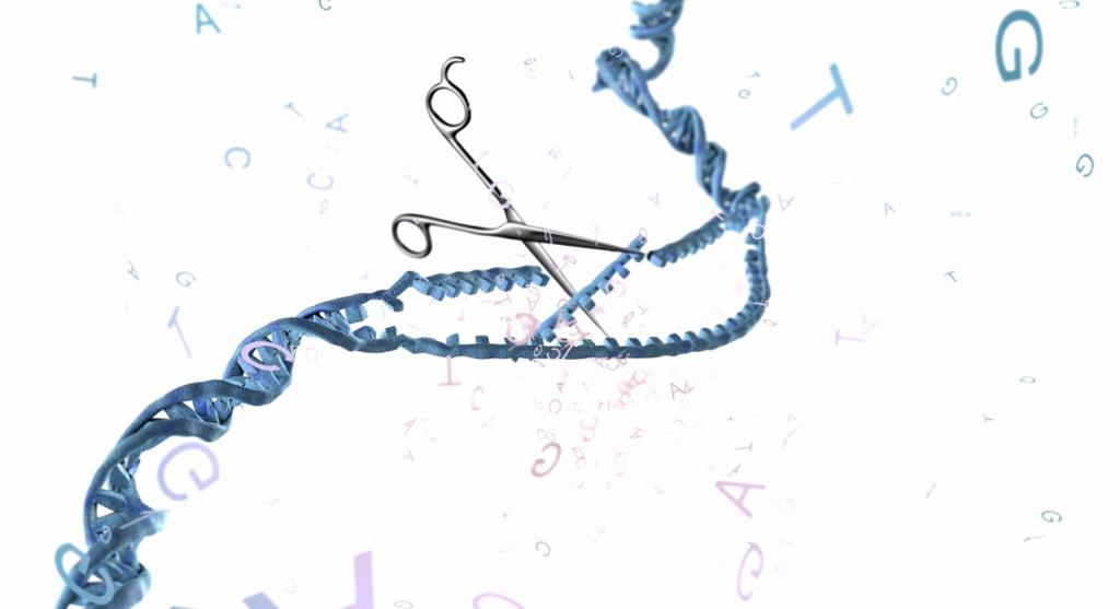 Genredigering. Konseptuell illustrasjon av en saks som klipper i DNA. 
