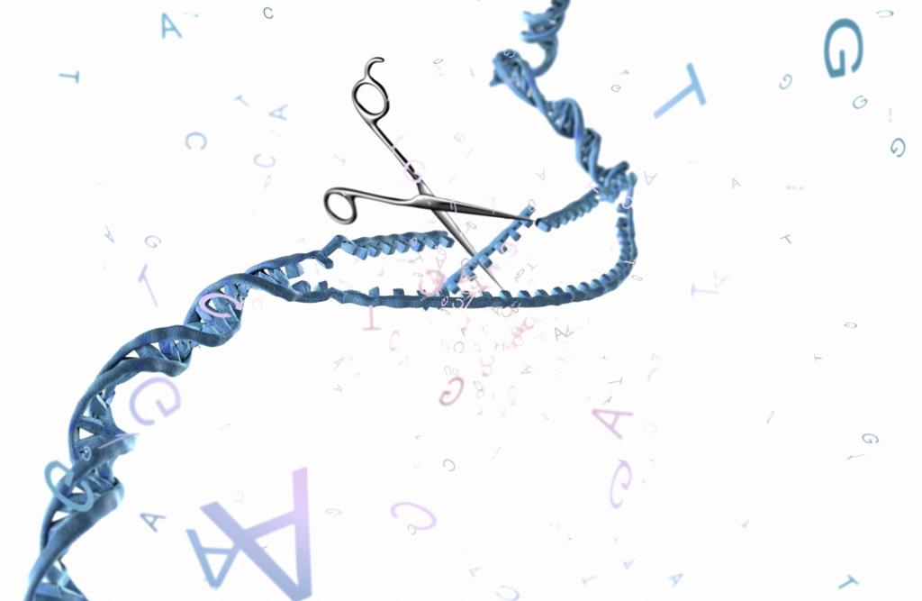 Genredigering. Konseptuell illustrasjon av ei saks som klipper i DNA. 