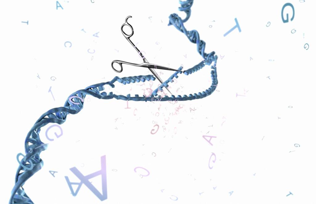 Genredigering. Konseptuell illustrasjon av en saks som klipper i DNA. 