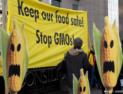 Banner med protest mot GMO-mais. Foto.