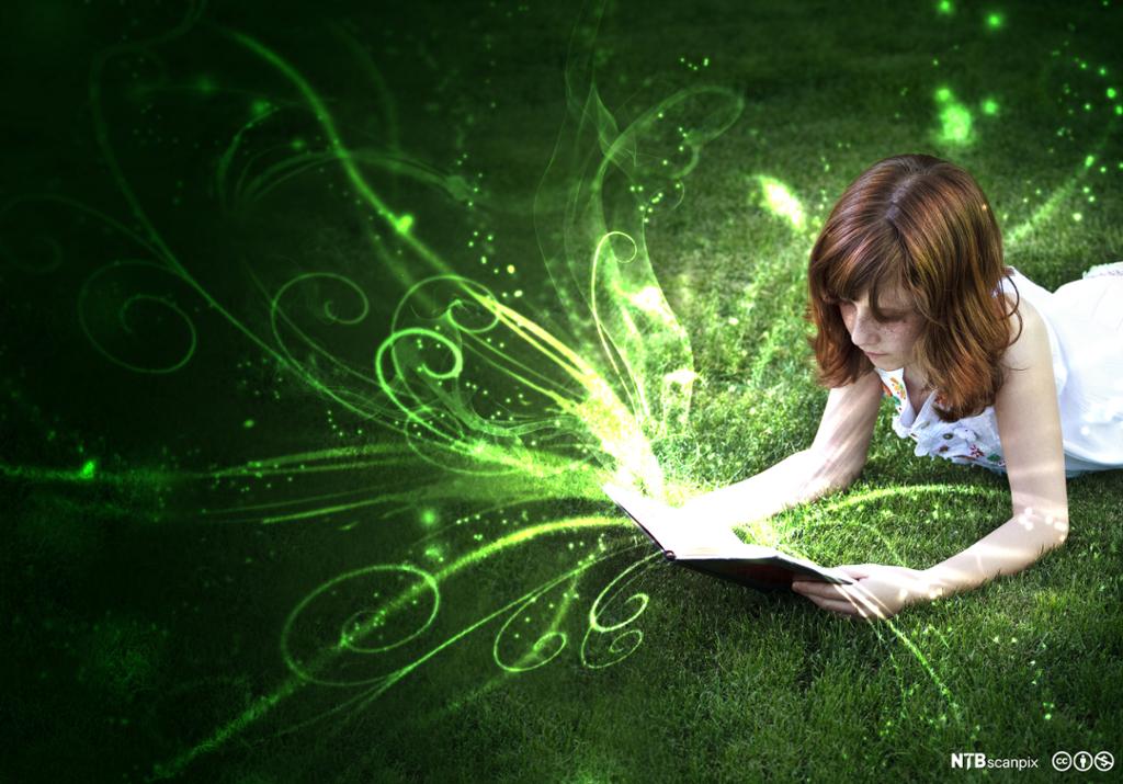 Girl reading a book. Photo.