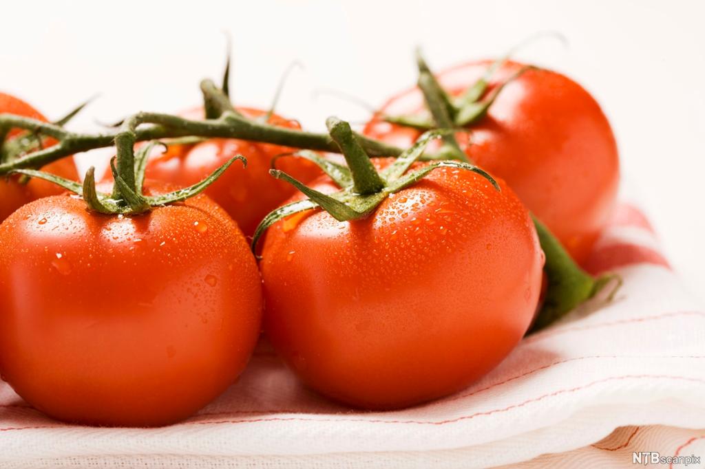 Store, røde tomater. Foto.