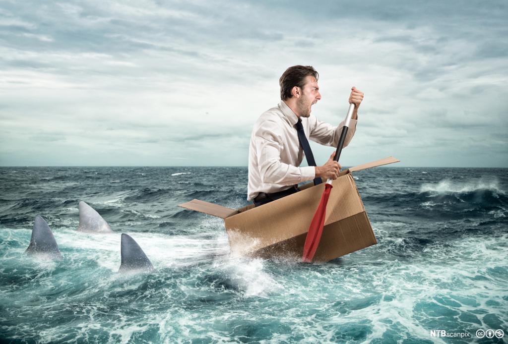 En mann padler i en pappeske og er omringet av haier. Illustrasjon.