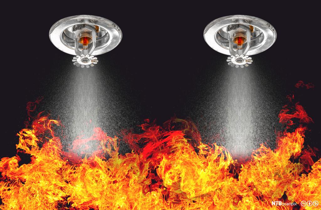 Sprinkleranlegg. To sprinklere som spruter vann på flammer. Illustrasjon.